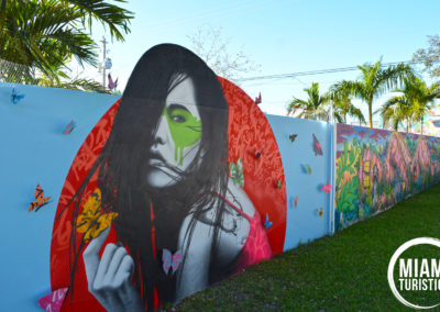 Wynwood Walls